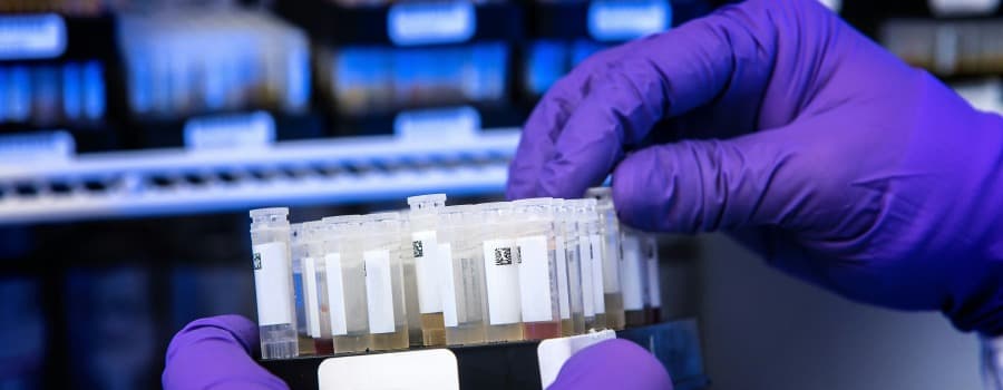 Jak často testovat na drogy? Doporučení pro zaměstnavatele